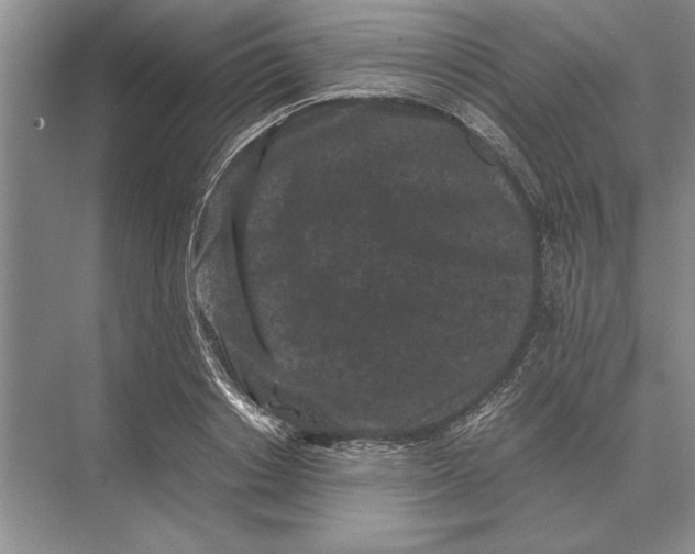 X0000072530842200608111744