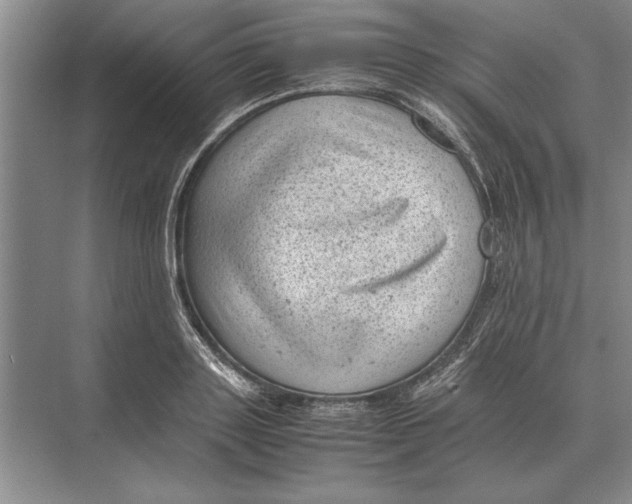 X0000072530843200608111744