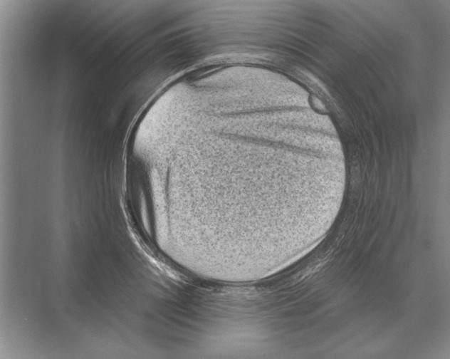 X0000072530844200608111744