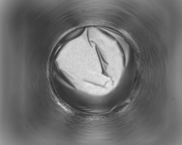 X0000072530846200608111744