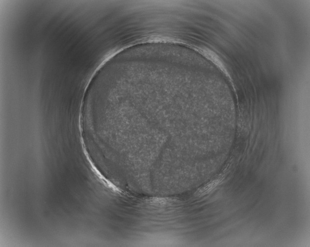 X0000072530847200608111744