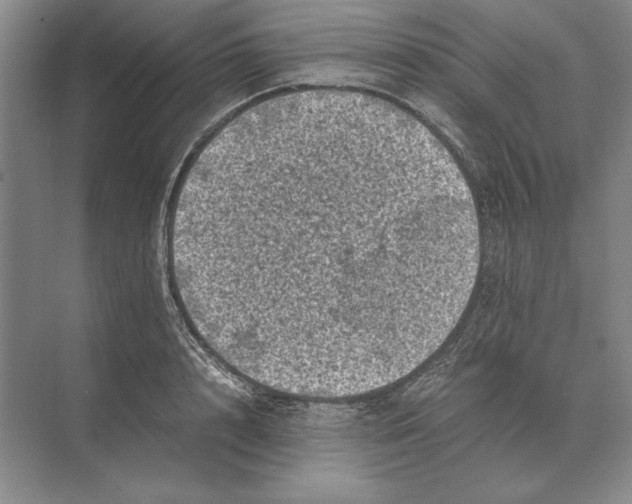 X0000072530848200608111744