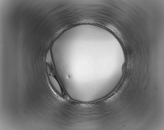 X0000072530849200608111744