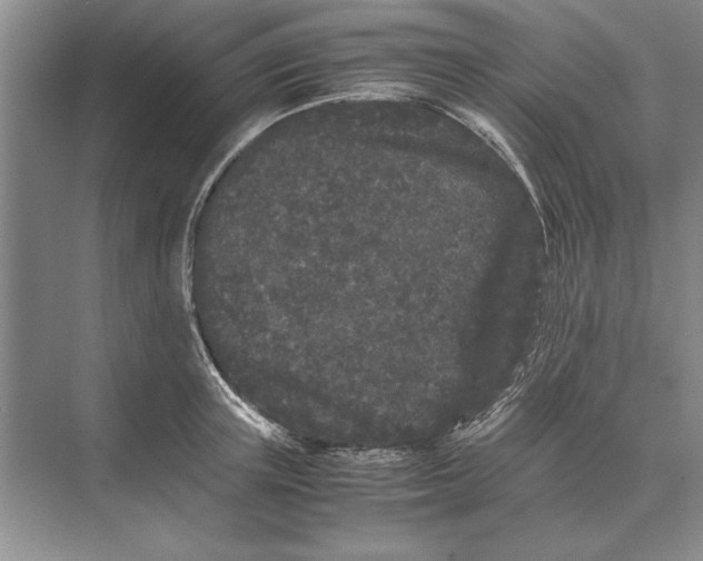 X0000072530851200608111744