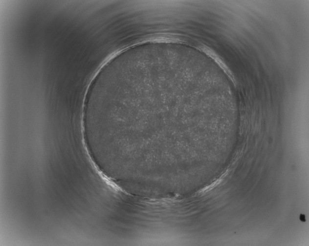 X0000072530853200608111744