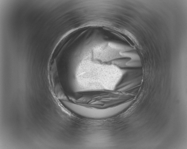 X0000072530854200608111744