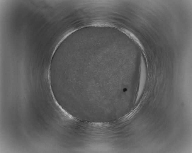 X0000072530855200608111744