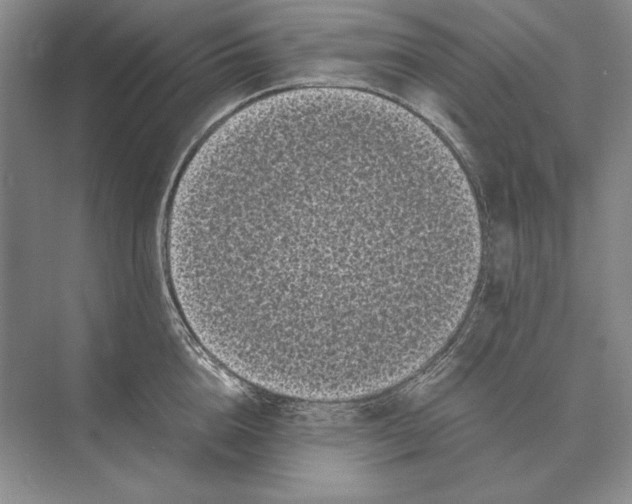 X0000072530856200608111744