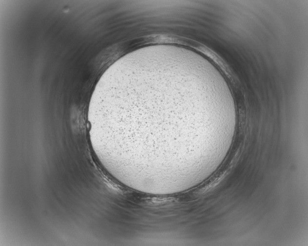 X0000072530857200608111744