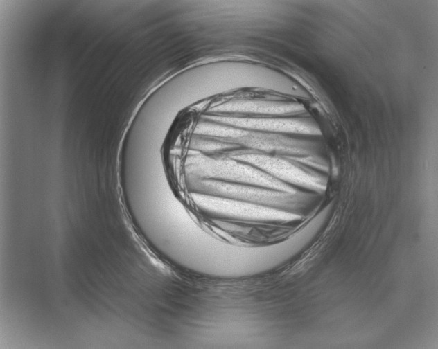 X0000072530858200608111744