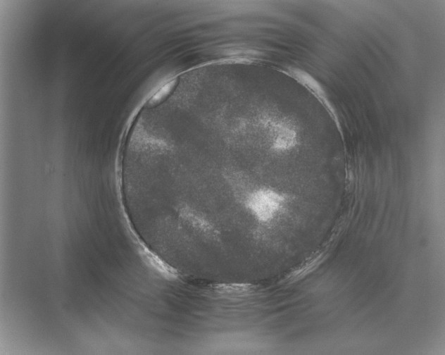 X0000072530859200608111744