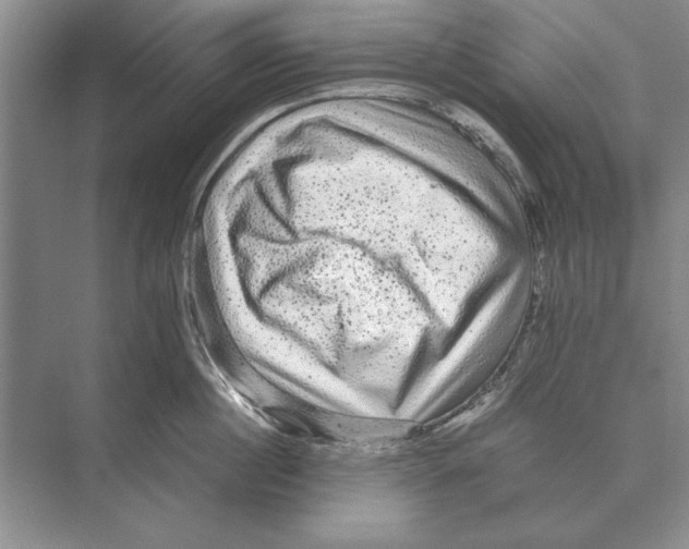 X0000072530860200608111744