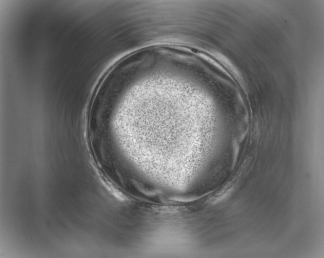 X0000072530862200608111744