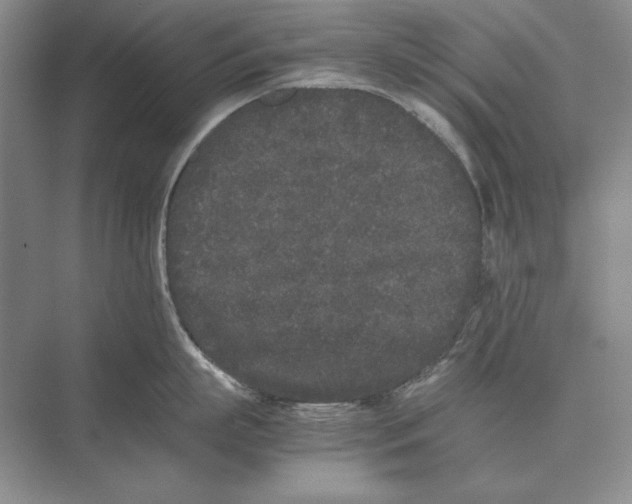 X0000072530863200608111744