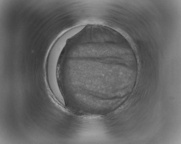 X0000072530864200608111744