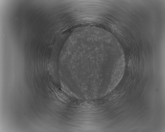 X0000072530868200608111744