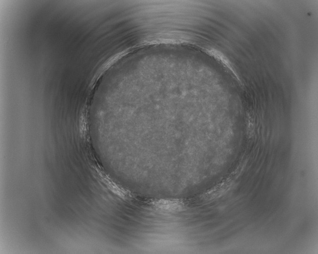 X0000072530874200608111743