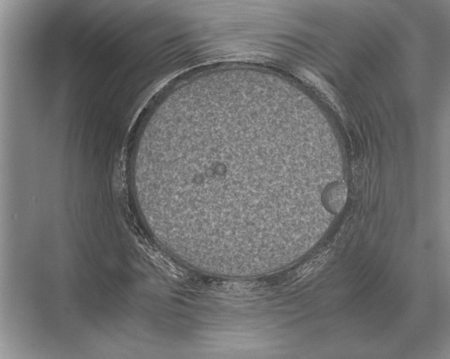 X0000072530875200608111743