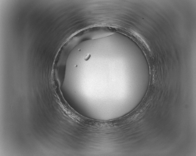 X0000072530876200608111743