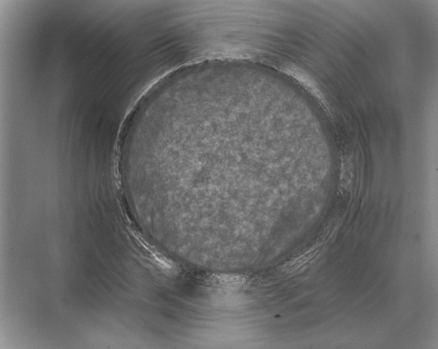 X0000072530878200608111743