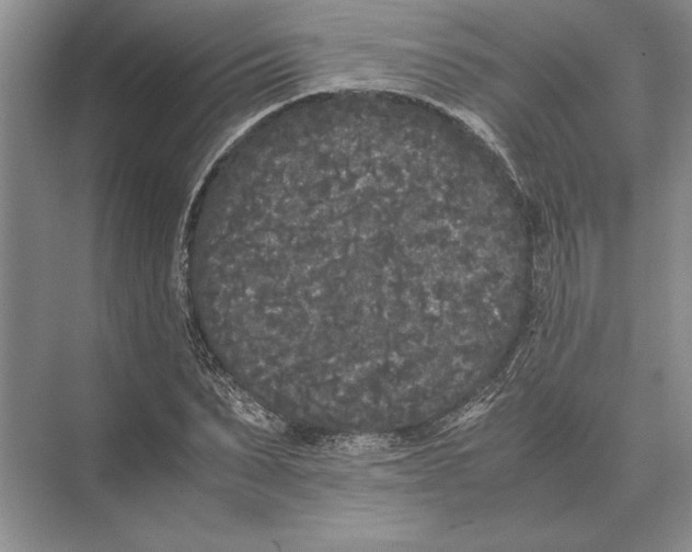 X0000072530879200608111743