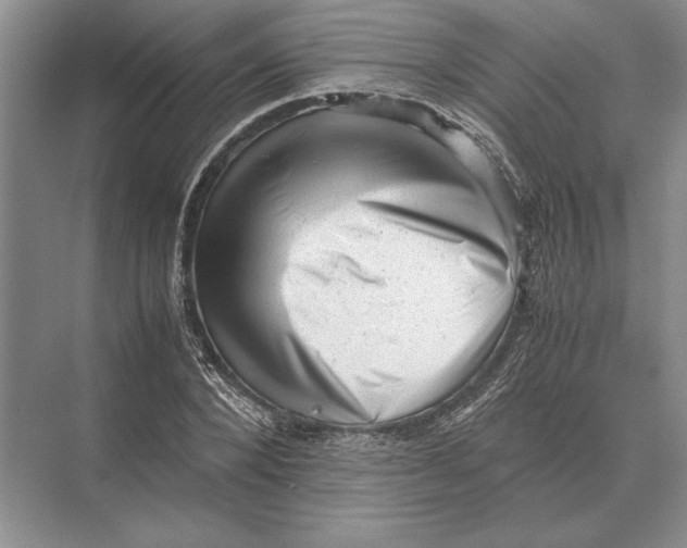 X0000072530880200608111743