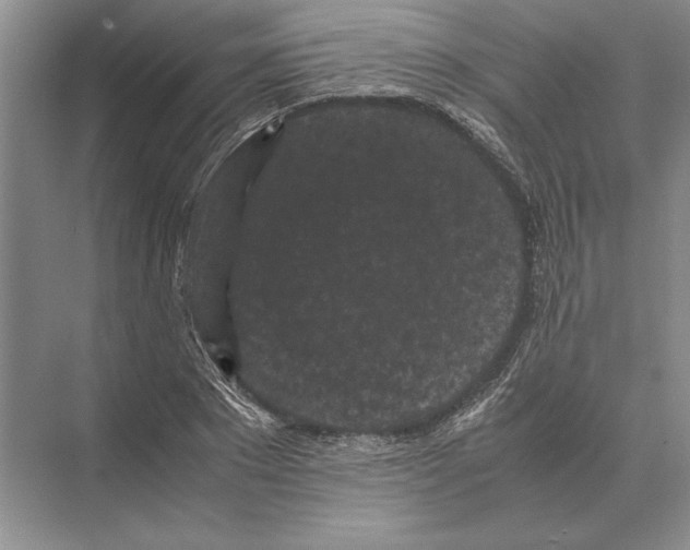 X0000072530881200608111743