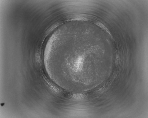 X0000072530882200608111743