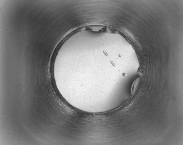 X0000072530884200608111743