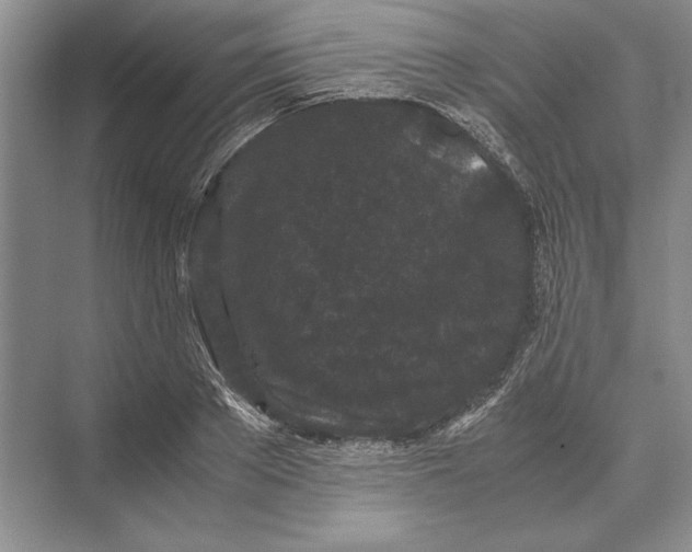 X0000072530889200608111743