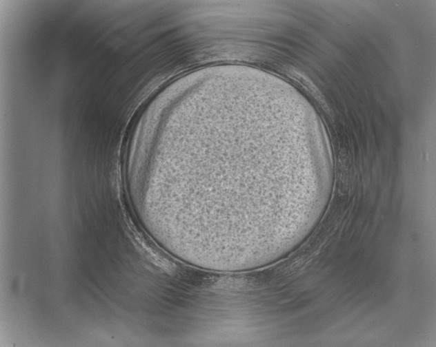 X0000072530890200608111743