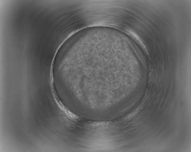 X0000072530892200608111743