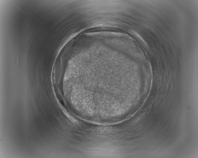 X0000072530893200608111743