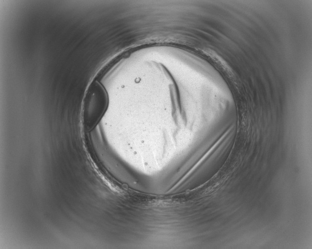 X0000072530894200608111743