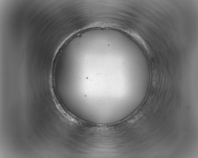 X0000072530896200608111743