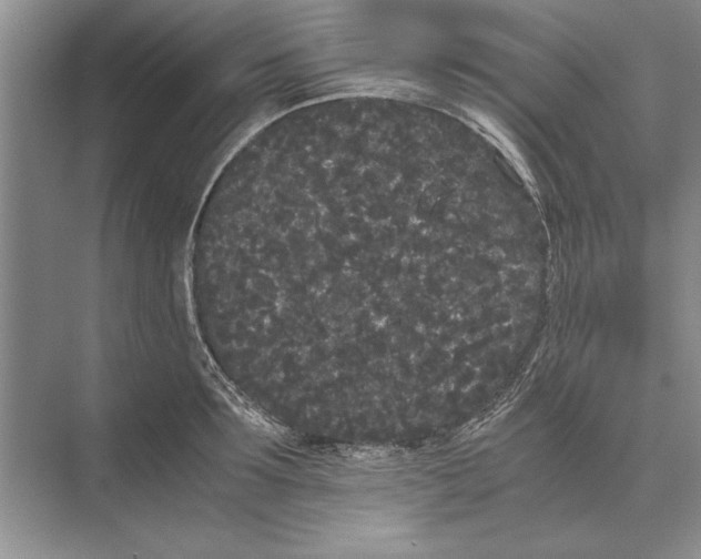 X0000072530899200608111743