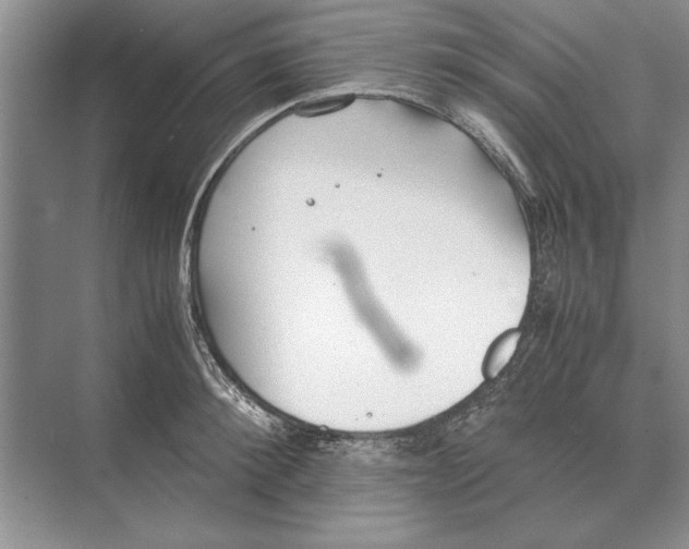 X0000072530900200608111743