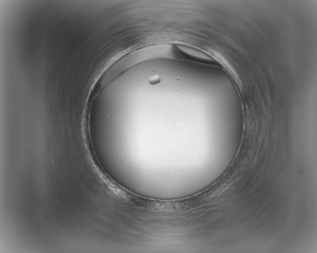 X0000072530901200608111743