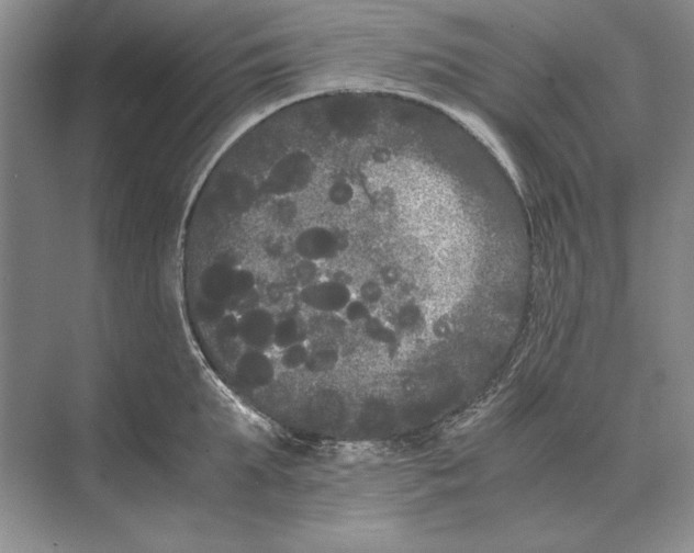 X0000072530903200608111743