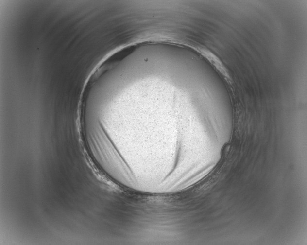 X0000072530904200608111743