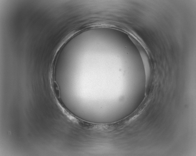 X0000072530909200608111743