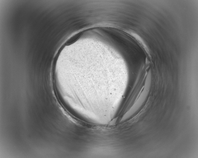 X0000072530910200608111743