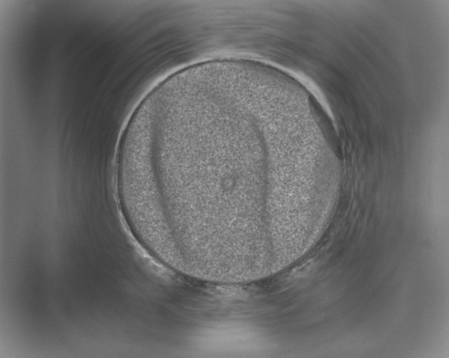 X0000072530911200608111743