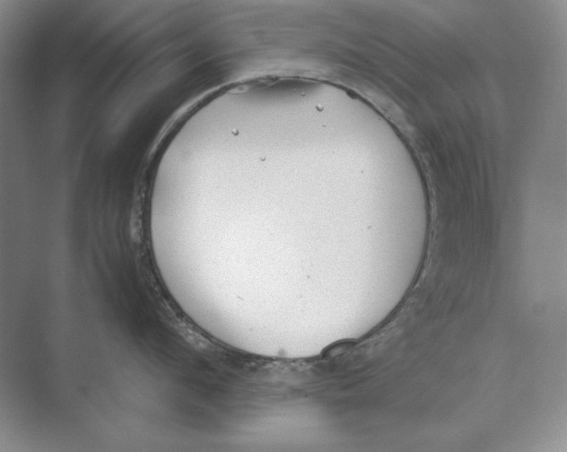 X0000072530912200608111743