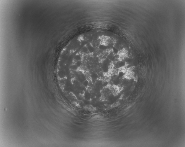 X0000072530913200608111742