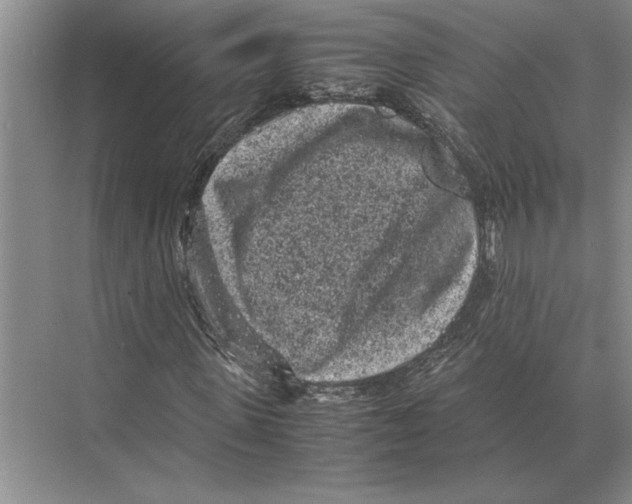 X0000072530915200608111742