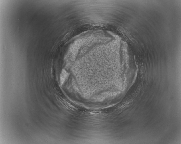 X0000072530916200608111742