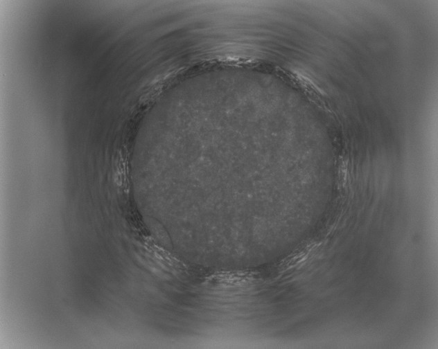 X0000072530917200608111742