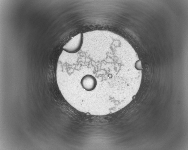 X0000072530918200608111742