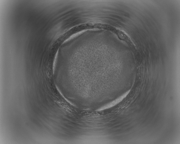 X0000072530919200608111742